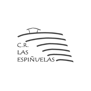 Logotipo Mi web